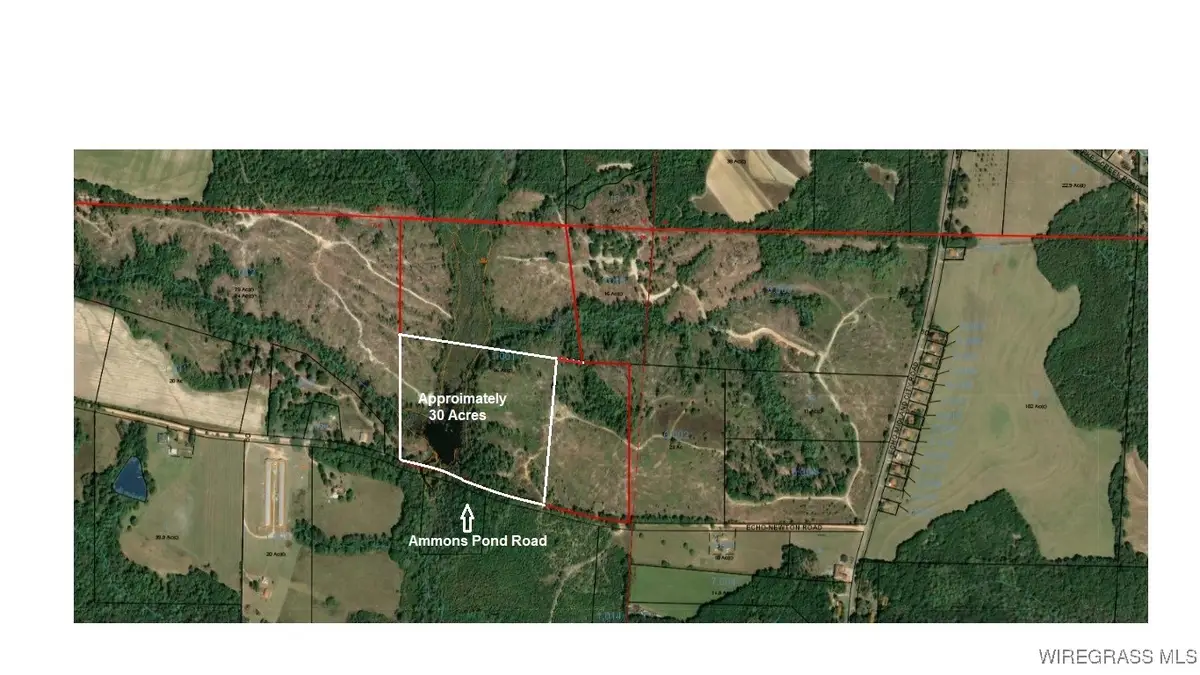 30 Acres Ammons Pond Road, Midland City, AL 36350 - Image #1