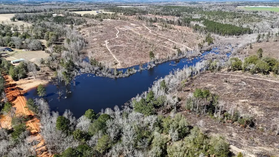 30 Acres Ammons Pond Road, Midland City, AL 36350 - Image #2