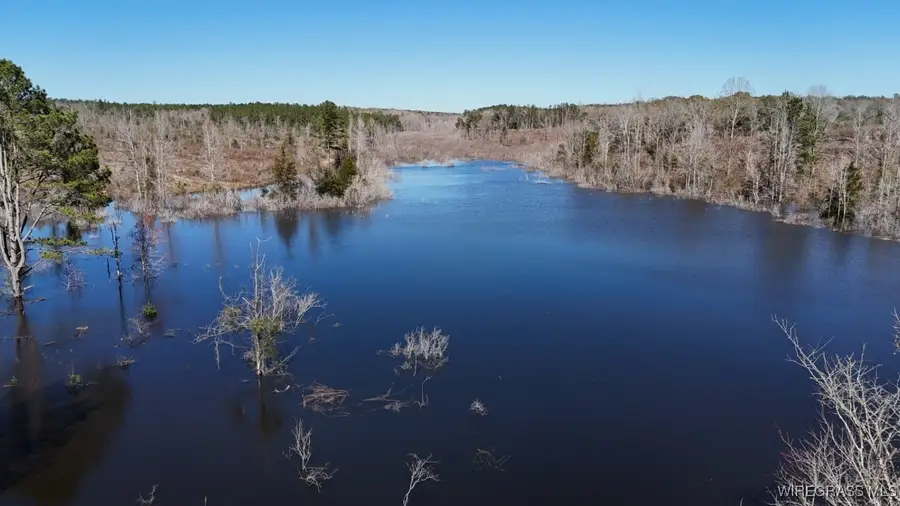 30 Acres Ammons Pond Road, Midland City, AL 36350 - Image #3