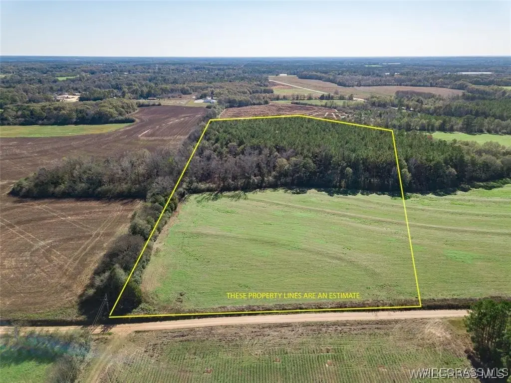TBD County Road 609, Goodman, AL 36330 - Image #1