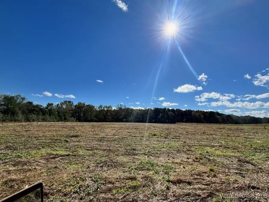TBD County Road 609, Goodman, AL 36330 - Image #2