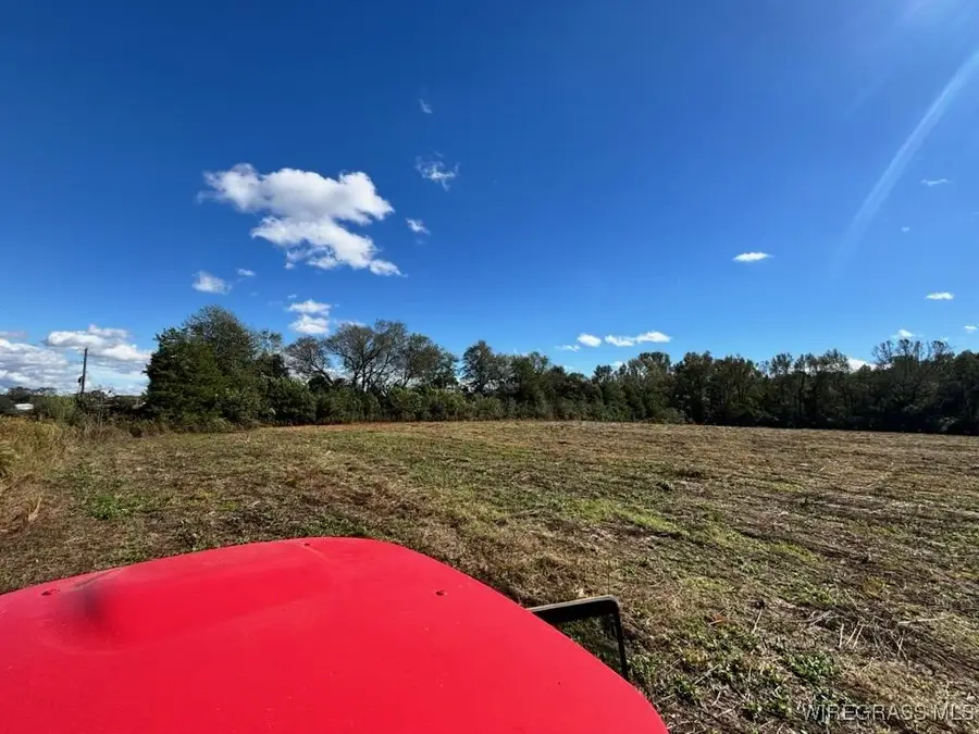 TBD County Road 609, Goodman, AL 36330 - Image #3