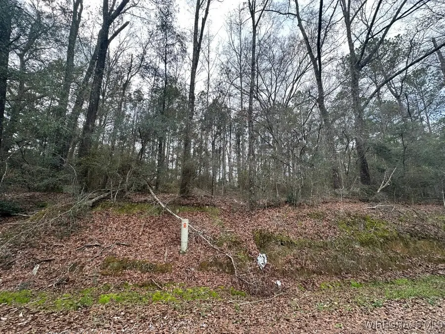 0 Highway 87, Jack, AL 36346 - Image #3