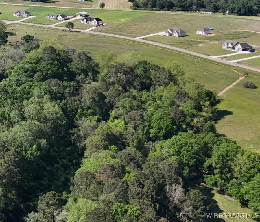 430 County Road 711 Road, Enterprise, AL 36330 - Image #1