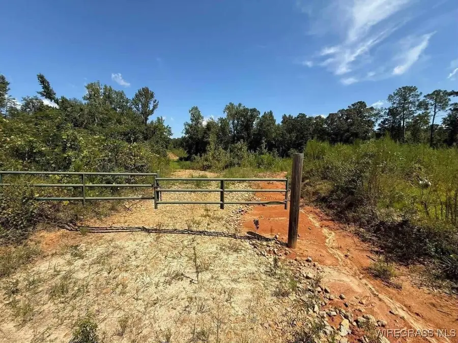 TBD 50.8 Acres County Road 105, Jack, AL 36346 - Image #2