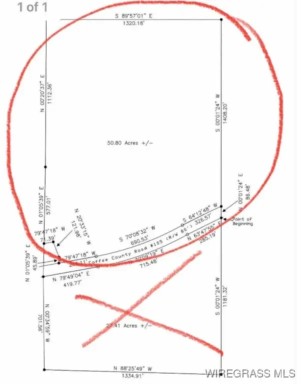 TBD 50.8 Acres County Road 105, Jack, AL 36346 - Image #3