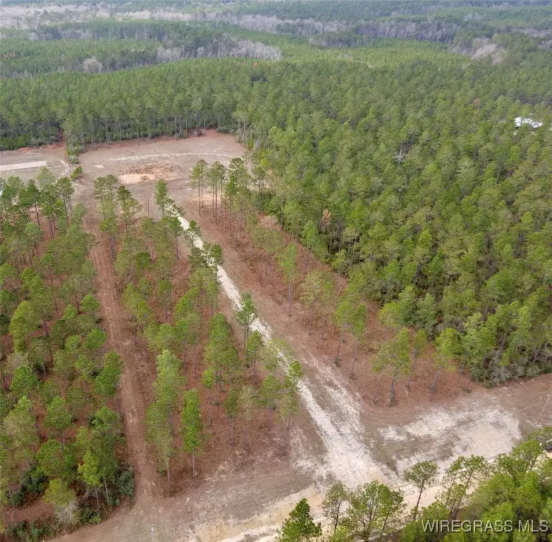 18755 Catherine Bailey Road, Andalusia, AL 36420 - Image #1