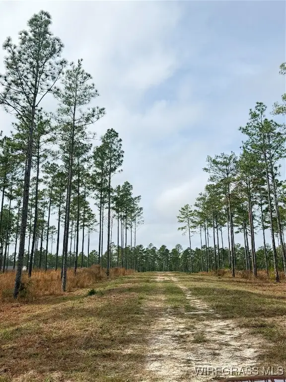 18755 Catherine Bailey Road, Andalusia, AL 36420 - Image #2