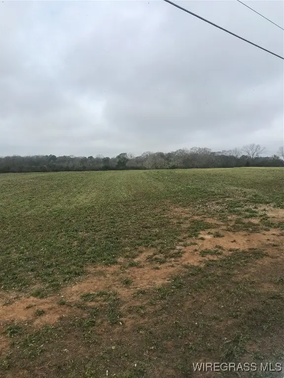 4050 County Road 708 Road, Enterprise, AL 36330 - Image #1