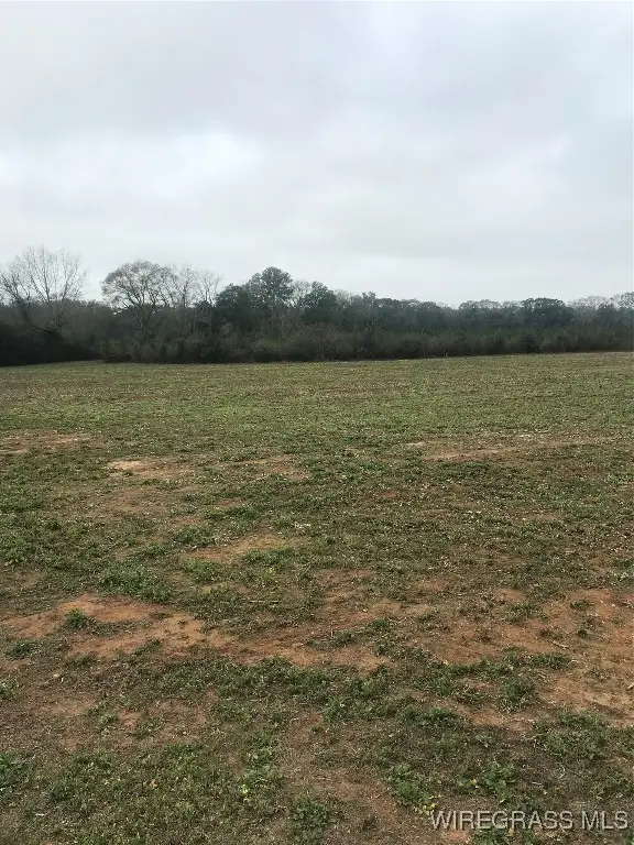 4050 County Road 708 Road, Enterprise, AL 36330 - Image #3