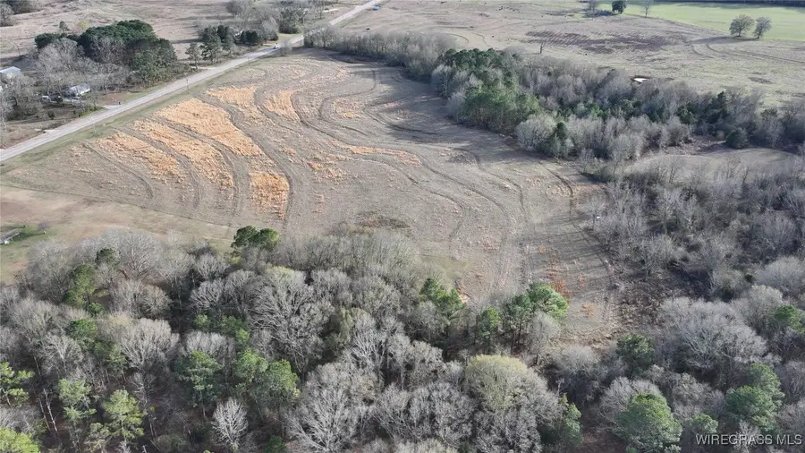 8995 Montgomery Highway, Luverne, AL 36049 - Image #2