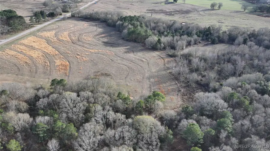 8995 Montgomery Highway, Luverne, AL 36049 - Image #3