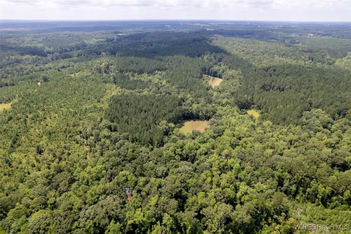 0 County Road 372, Elba, AL 36323 - Image #1