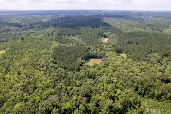 0 County Road 372, Elba, AL 36323