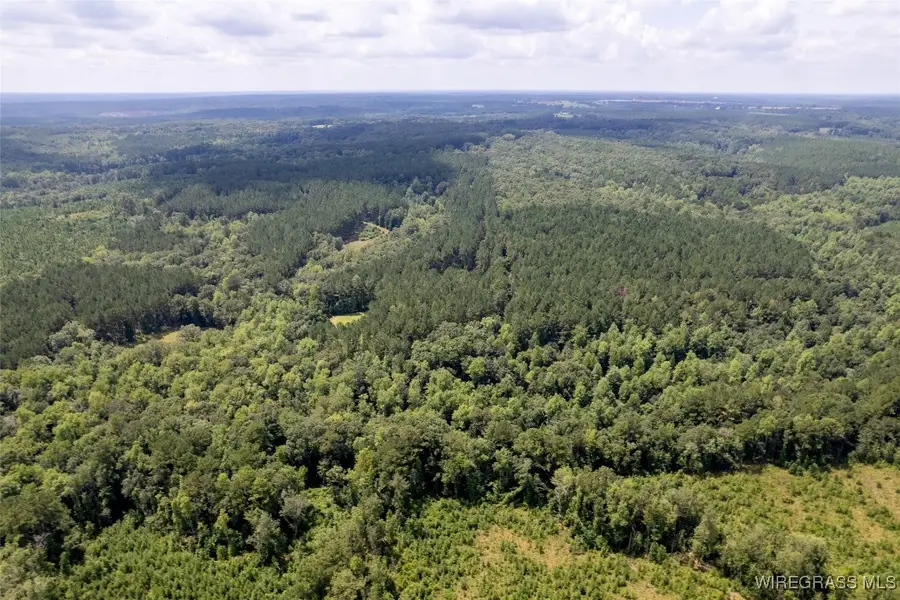 0 County Road 372, Elba, AL 36323 - Image #2