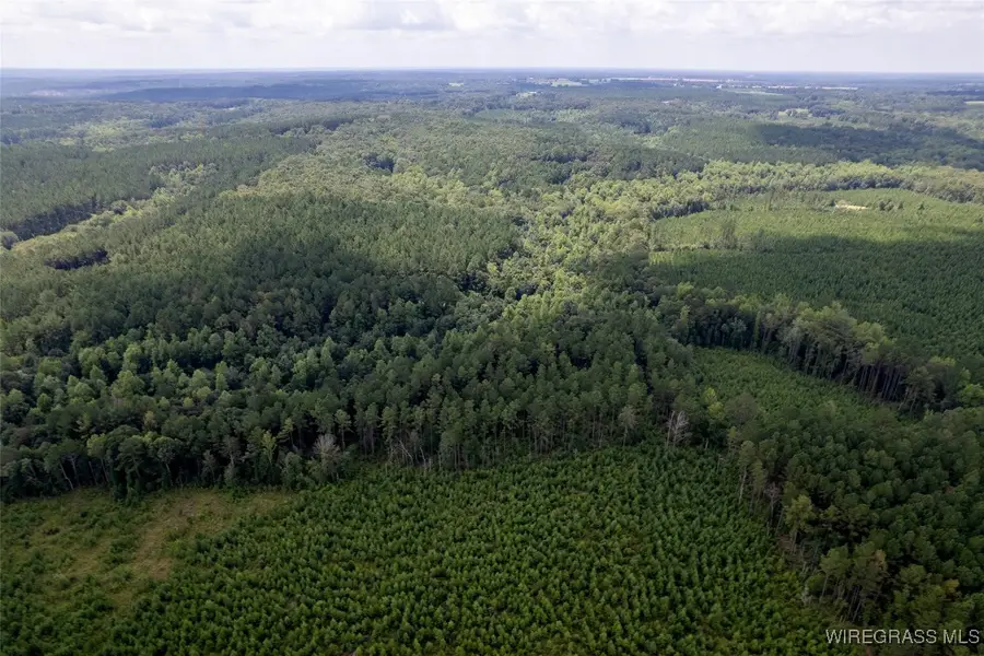 0 County Road 372, Elba, AL 36323 - Image #3