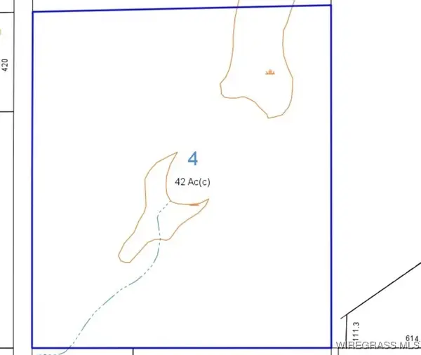 40.33 ac County Road 65, Samson, AL 36477