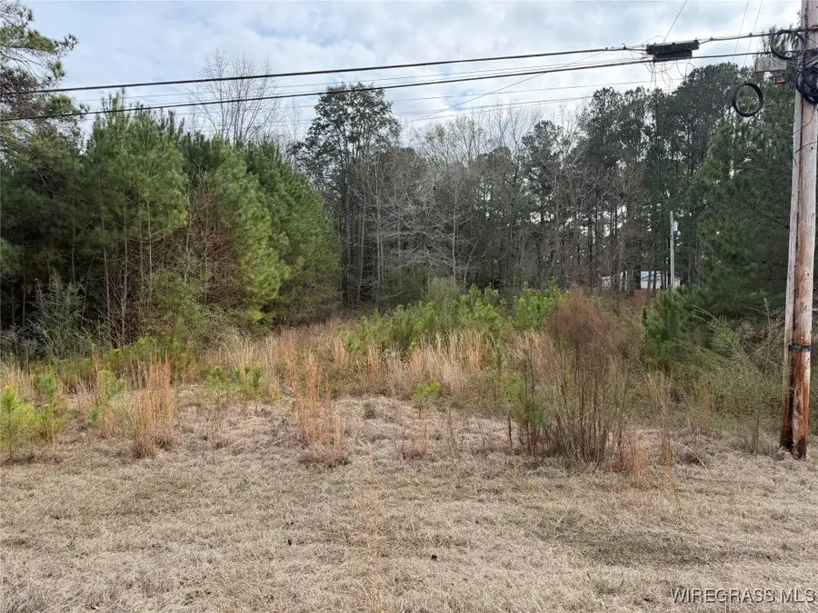 1511 Highland Drive, Elba, AL 36323 - Image #2