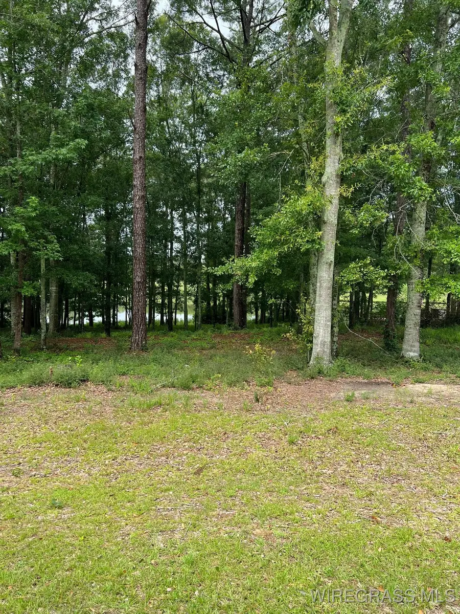 0.77 ac Private Road 1601, Chancellor, AL 36316 - #2