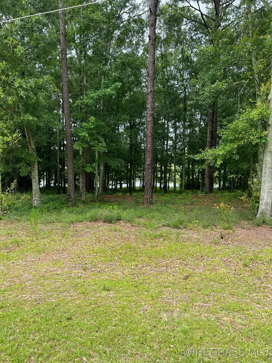 0.77 ac Private Road 1601, Chancellor, AL 36316 - #3