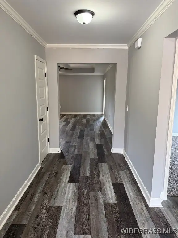 5209 N County Road 514, New Brockton, AL 36351 - Image #2