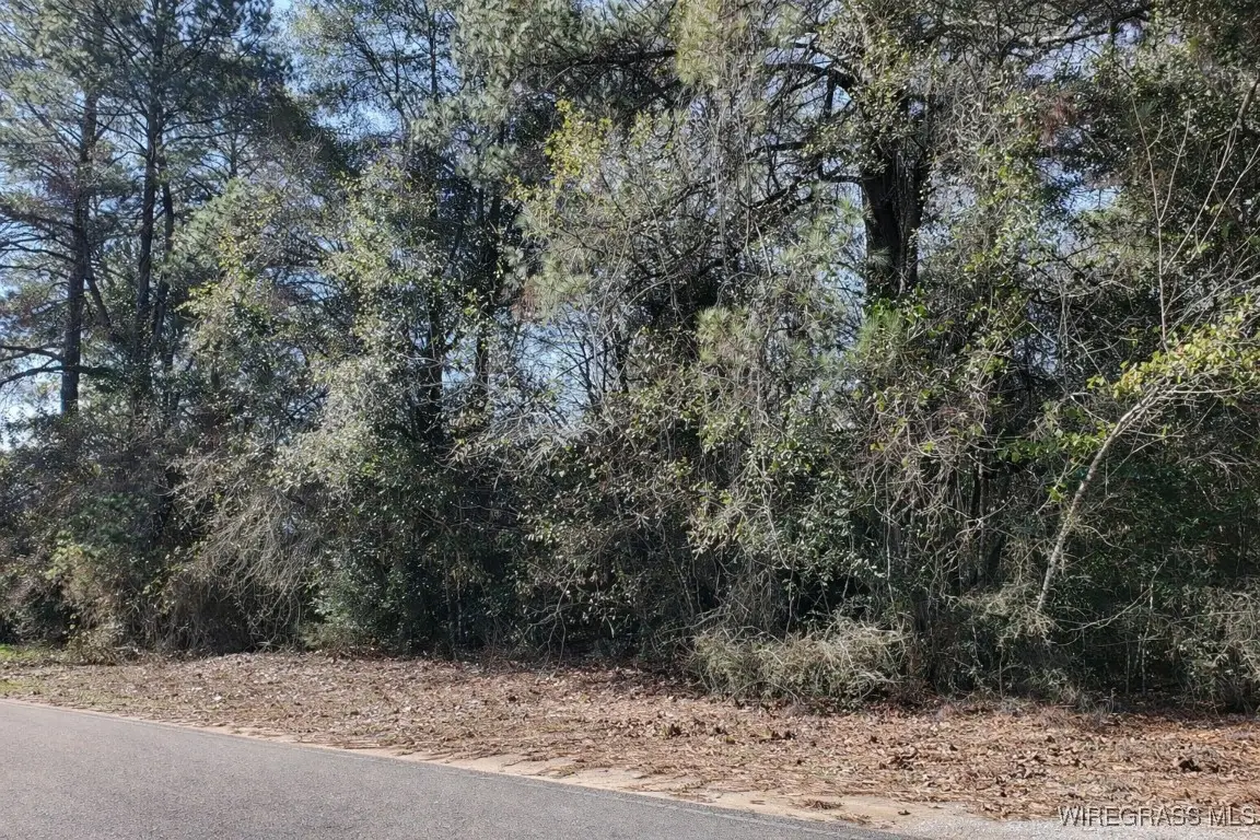 1650 Gritney Road, Daleville, AL 36322 - Image #1