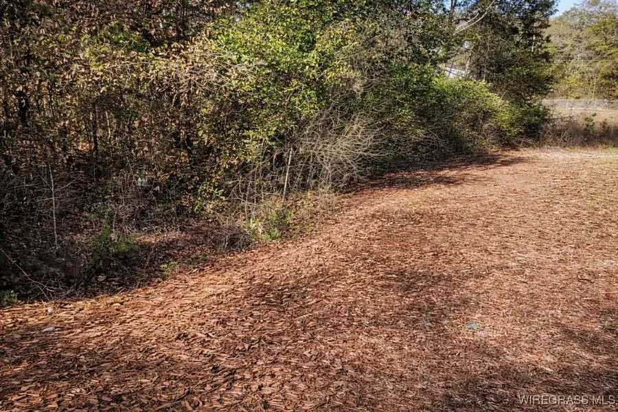 1650 Gritney Road, Daleville, AL 36322 - Image #2