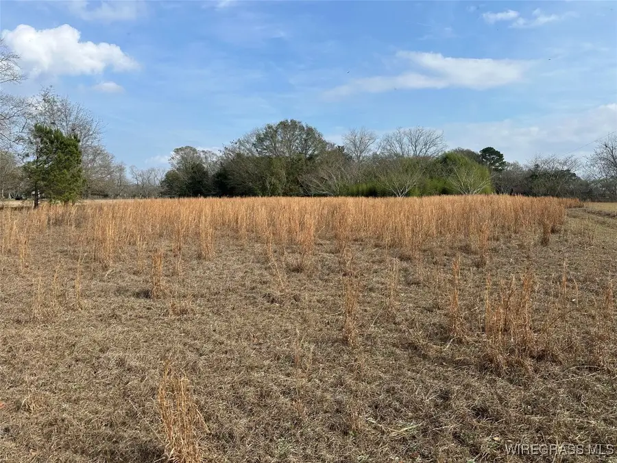 2134 & 2148 County Road 103, Newville, AL 36353 - Image #2