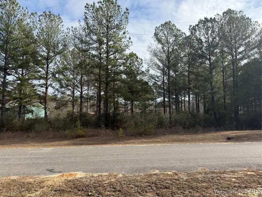 27755 Harbor Road, Andalusia, AL 36421 - Image #2