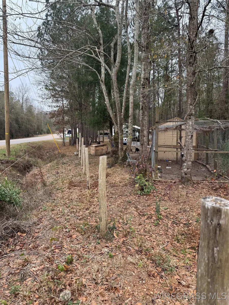 3831 Hwy 31 Highway, Castleberry, AL 36432 - Image #2