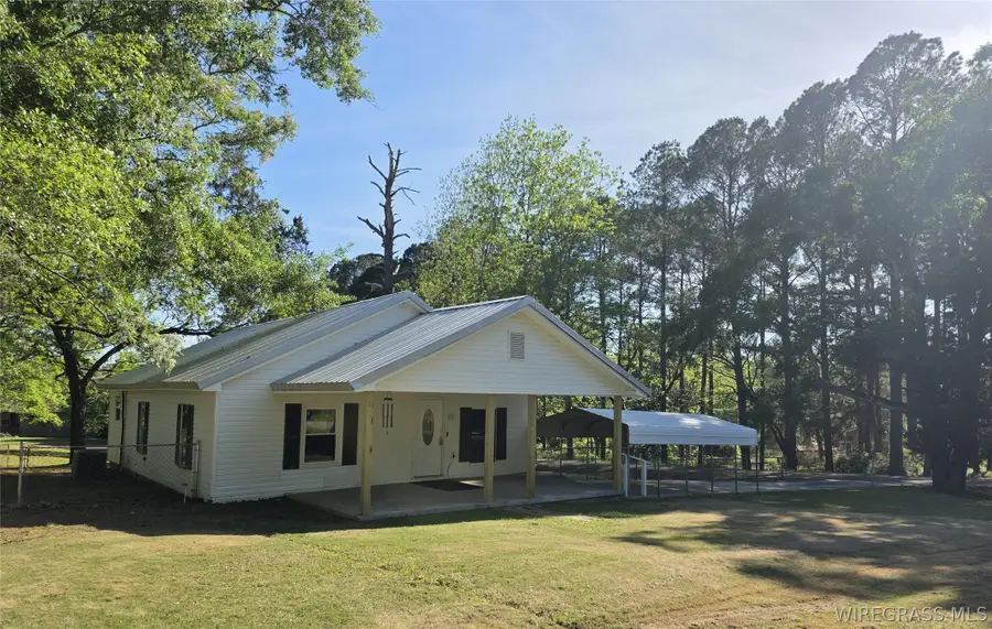 173 W Mount Carmel Avenue, Coffee Springs, AL 36318 - #2