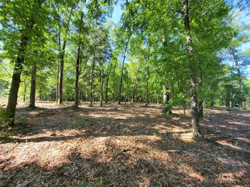 102 Preserve Drive, Enterprise, AL 36330 - Image #1