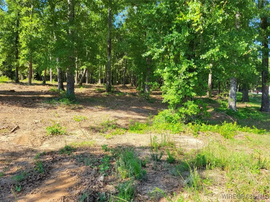 102 Preserve Drive, Enterprise, AL 36330 - Image #2