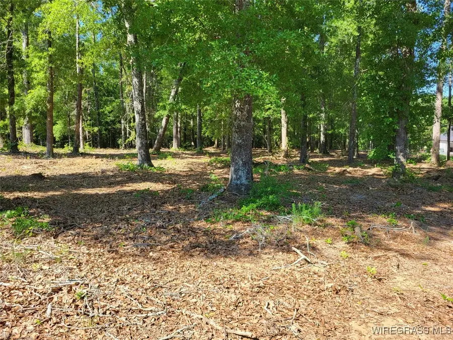 102 Preserve Drive, Enterprise, AL 36330 - Image #3