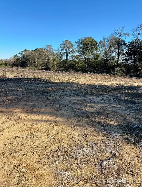 0 Windmill Road, Newton, AL 36352 - Image #3