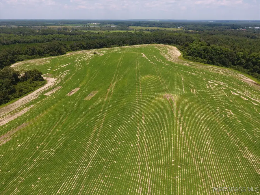 0 Chamblee Road, Kinston, AL 36453 - #2