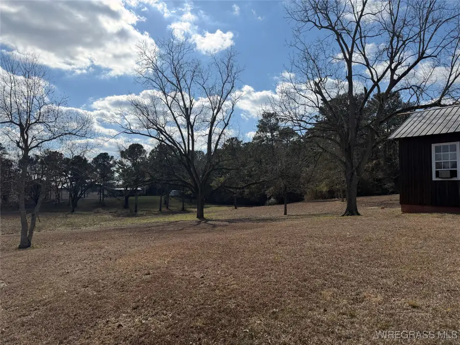 1118 Huggins Street, McKenzie, AL 36456 - Image #3