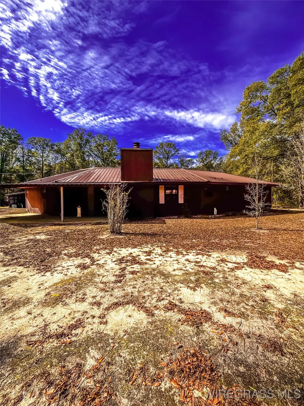 154 Open Pond Road, Samson, AL 36477 - Image #1