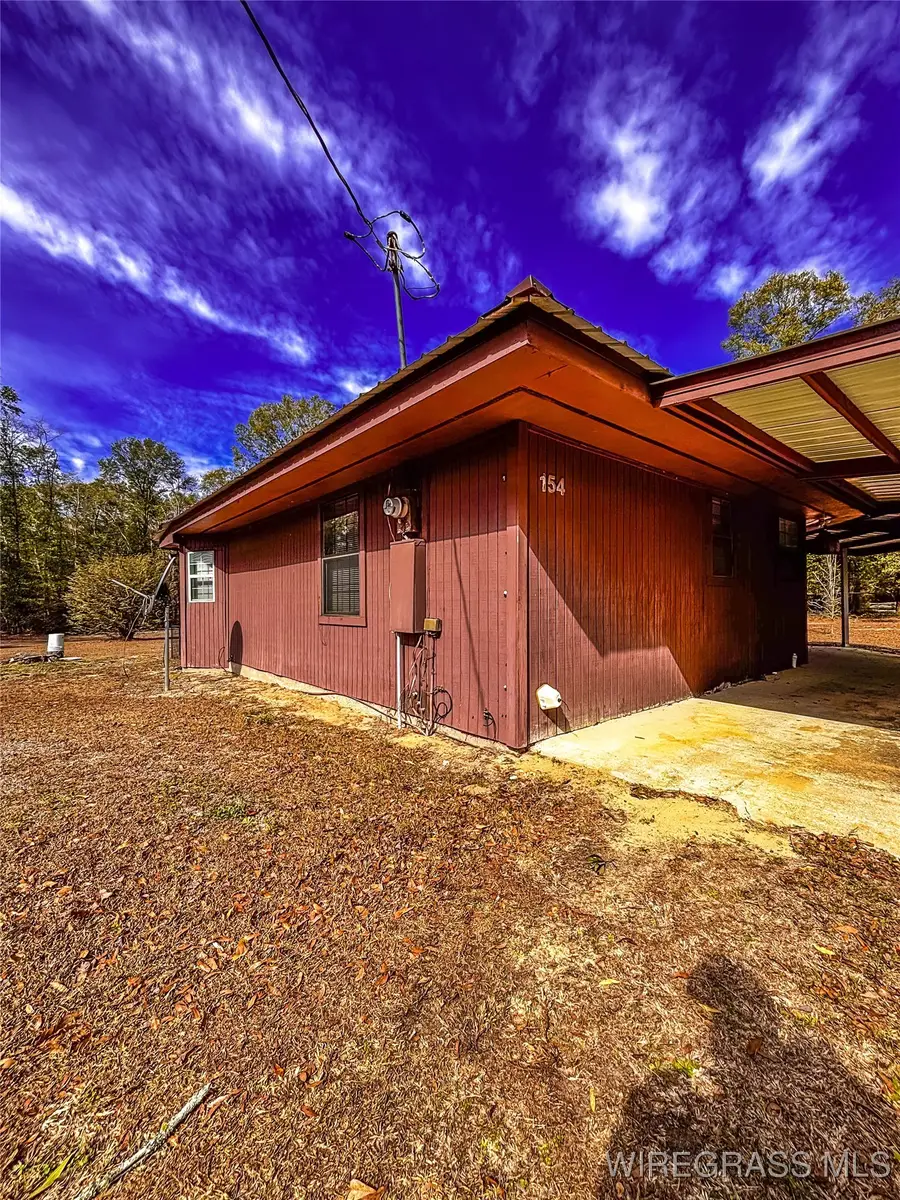 154 Open Pond Road, Samson, AL 36477 - Image #3