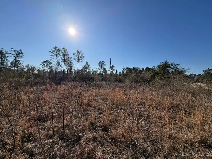 0 Highway 231, Troy, AL 36079 - #2