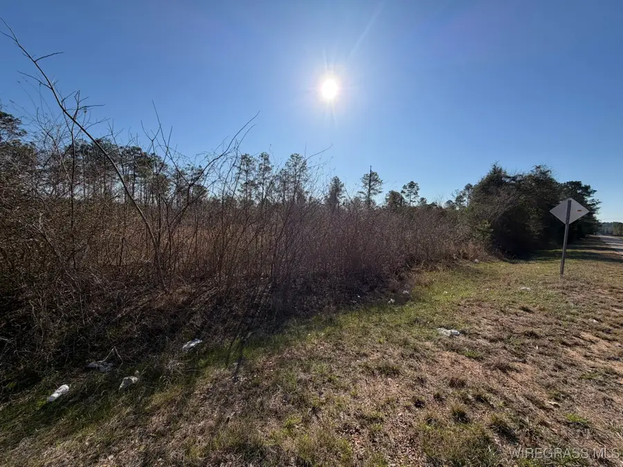 0 Highway 231, Troy, AL 36079 - #3
