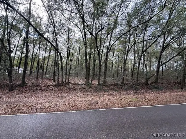 0 County Road 708, Enterprise, AL 36330 - Image #1
