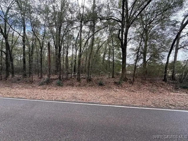 0 County Road 708, Enterprise, AL 36330 - Image #2