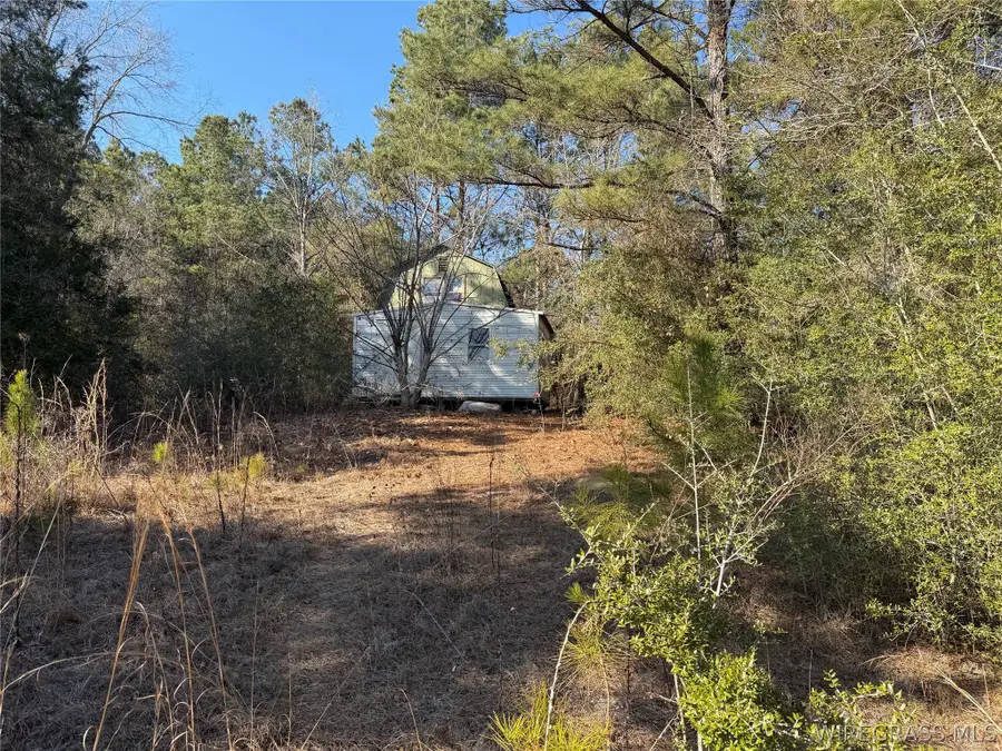 0 County Road 201, Troy, AL 36079 - #2