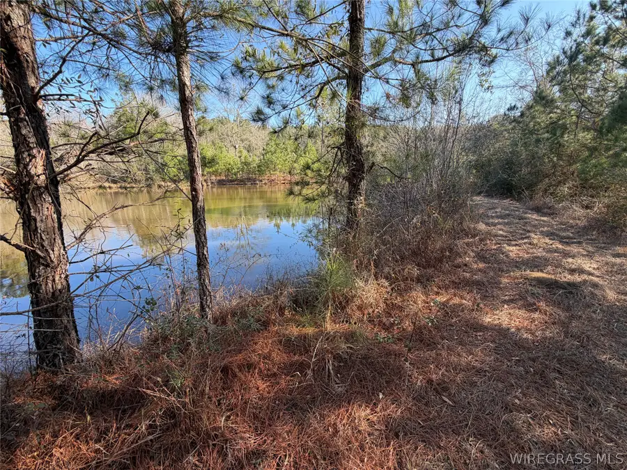 0 County Road 201, Troy, AL 36079 - #3