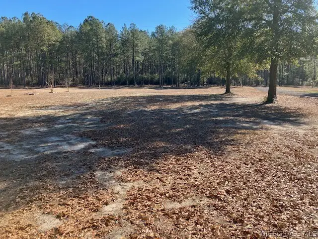 000 Harbor Road, Andalusia, AL 36421 - #3