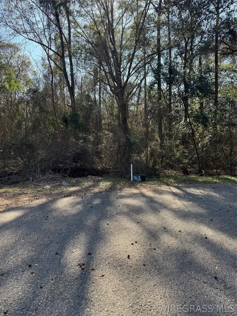 0 Vining Drive, Dothan, AL 36303 - #2