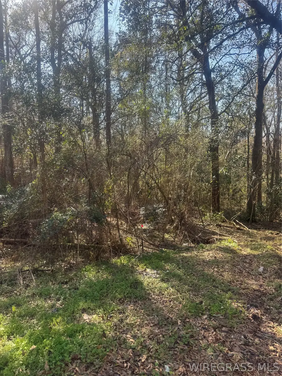 0 Vining Drive, Dothan, AL 36303 - #3