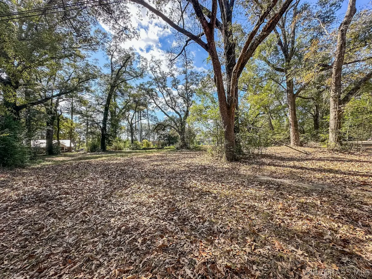 104 E Register Avenue, Geneva, AL 36340 - #1