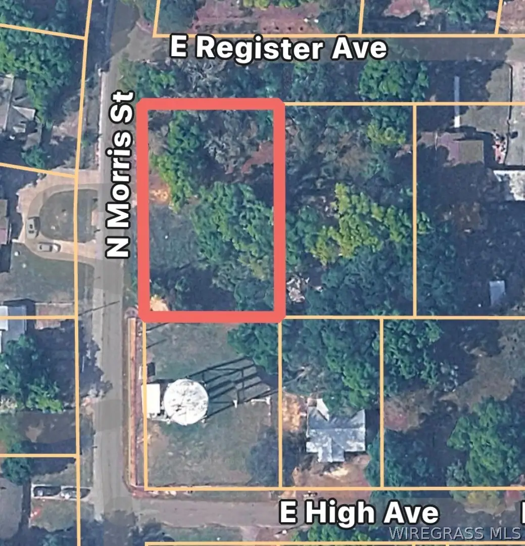 0 Morris Street, Geneva, AL 36340 - #1